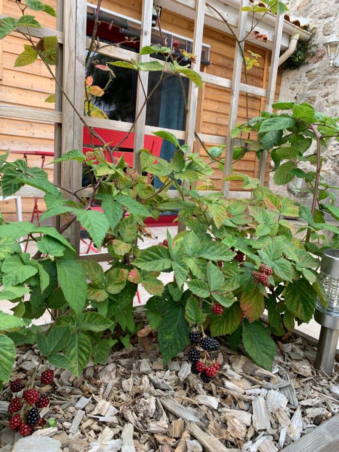 La Basse Monniere Panzió Sèvremont Kültér fotó